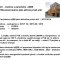 Statistická data. Statistická data.